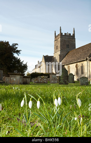 Schneeglöckchen und All Saints Church in Somerford Keynes, Cotswolds, Gloucestershire, Großbritannien Stockfoto