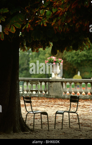 Paris. Frankreich. Zwei leere Stühle unter einem Baum im Jardin du Luxembourg. 6. Arrondissement. Stockfoto