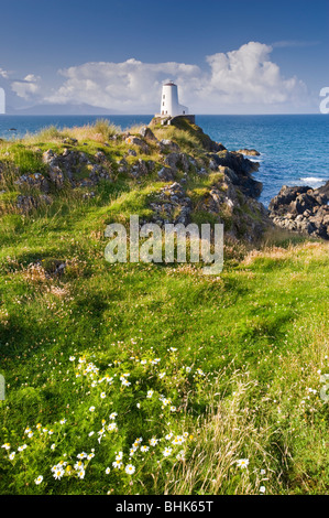 Leuchtturm auf Llanddwyn Island National Nature Reserve, in der Nähe von Newborough, Anglesey, North Wales, UK Stockfoto