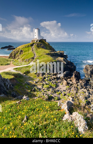 Leuchtturm auf Llanddwyn Island National Nature Reserve, in der Nähe von Newborough, Anglesey, North Wales, UK Stockfoto