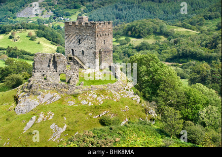 Dolwyddelan Schloss im Sommer, Dolwyddelan, in der Nähe von Betws-y-Coed, Snowdonia National Park, North Wales, UK Stockfoto