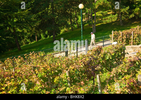 GEORGES BRASSENS PARK, PARIS Stockfoto