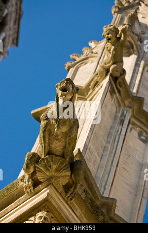 KATHEDRALE VON SAINTE-CROIX, ORLEANS Stockfoto