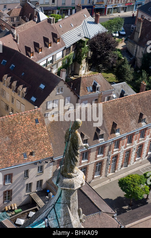 Chartres, Frankreich - Kathedrale Notre Dame, Statue, Architektonisches Detail, Blick Von Oben, Außenbereich, Tag, Französisch Katholische Kirche Stockfoto