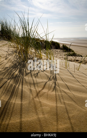 Sanddüne Stockfoto