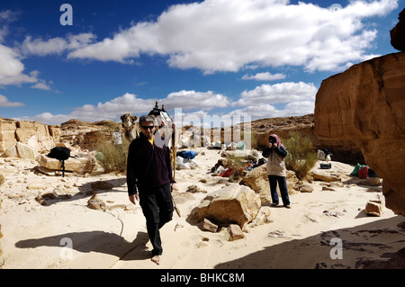 Sinai-Beduinen Menschen der Wüste Kamel Safari Stockfoto