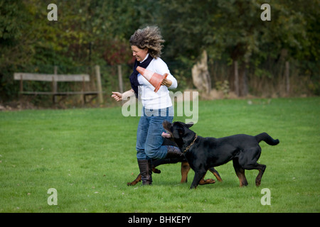 Frau rennt mit zwei Rottweiler (Canis Lupus Familiaris) im Garten Stockfoto