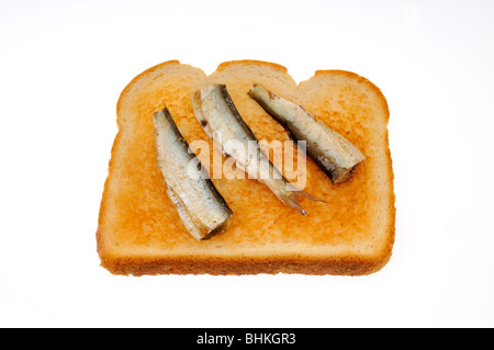 Sardinen auf Toast auf weißem Hintergrund. Ausschnitt Stockfoto