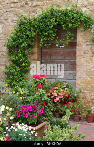 Italien Toskana Pienza Terrasse Blumen Stockfoto