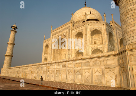 Das Taj Mahal, eines der architektonischen Wunder der Welt, Agra, Uttar Pradesh, Indien Stockfoto