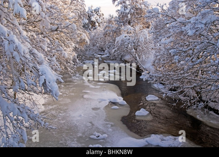 Der Fluß Nethy im Winter mit Schnee Stockfoto