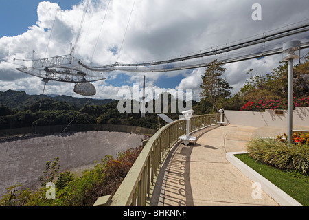 Radioteleskop-Blick von der Aussichtsplattform, Arecibo, Puerto Rico Stockfoto