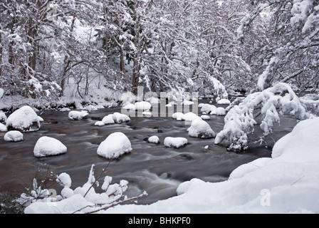 Der Fluß Nethy im Winter mit Schnee Stockfoto