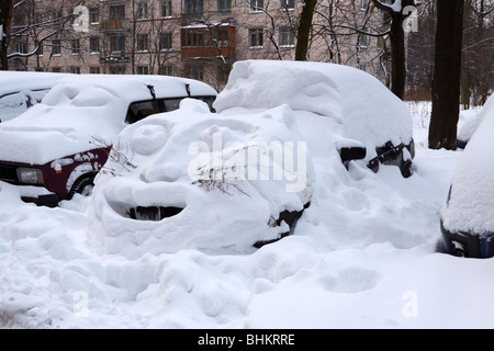 Lustige Grafik auf Auto nach starkem Schneefall. Tiger. Stockfoto