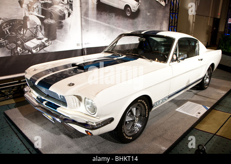 Vorderansicht des einen weißen Shelby GT 350 Stockfoto