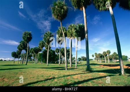 Punta Borinquen Golfplatz und Country Club, Aguadilla, Puerto Rico Stockfoto