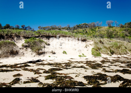 Cave Strand im Booderee Nationalpark, Jervis Bay, new South Wales, Australien Stockfoto