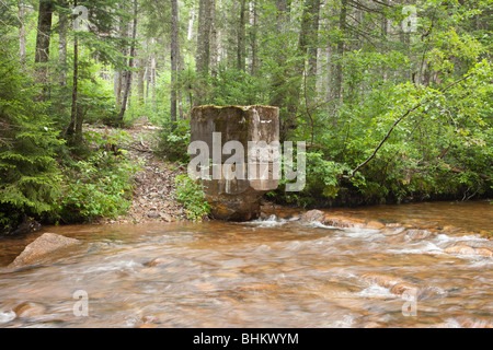 Pemitewasset Wilderness - Reste der Anderson Brook Gage in Stillwater Junction in Lincoln, New Hampshire USA. Stockfoto