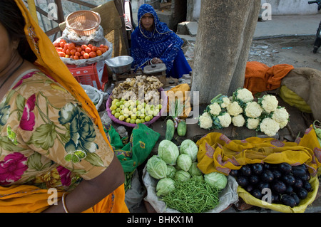 Pflanzliche Verkäufer, Straßenmarkt, Jaipur, Rajasthan, Indien Stockfoto