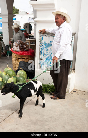 alte mexikanische Mann in weißen Sombrero hält, dass seine neu gekaufte junge Ziege von einem grün Gummiseil am Markttag in Ocotlan Oaxaca Stockfoto