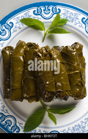 Gefüllte Weinblätter Beirut-Libanon-Nahost Stockfoto