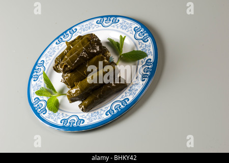 Gefüllte Weinblätter Beirut-Libanon-Nahost Stockfoto