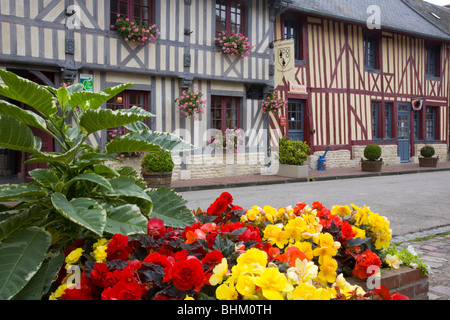 Beuvron-En-Auge, Normandie, Frankreich. Fassade des traditionellen Fachwerkbau, bunte Blumen im Vordergrund. Stockfoto