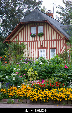 Beuvron-En-Auge, Normandie, Frankreich. Typische Norman Fachwerkhaus inmitten einer üppigen, bunten Garten. Stockfoto