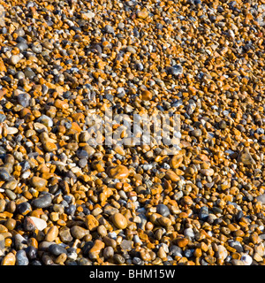 Hastings, East Sussex, England. Strand-Kiesel in der Sonne glänzen. Stockfoto