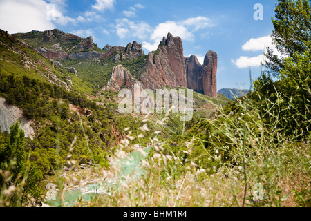 Felsformationen mit Pflanzen und Wald, Mallos De Riglos, Provinz Huesca, Aragon, Spanien Stockfoto