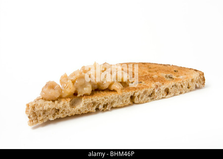 Englische Leckerbissen der Morecambe Bay vergossen braune Garnelen in Butter auf Toast. Stockfoto