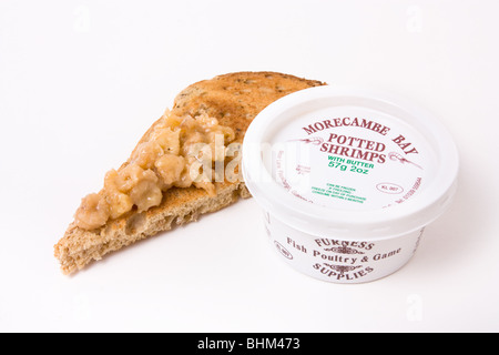 Englische Leckerbissen der Morecambe Bay vergossen braune Garnelen in Butter auf Toast. Stockfoto