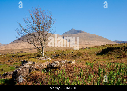 Ben mehr auf der Isle of Mull, Schottland Stockfoto