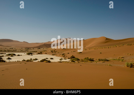 Roten Dünen in der Wüste Namib Stockfoto