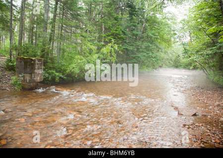 Pemitewasset Wilderness - Reste der Anderson Brook Gage in Stillwater Junction in Lincoln, New Hampshire USA. Stockfoto