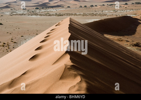 Klettern rote Sanddünen, Namib-Wüste, Namibia, Afrika Stockfoto