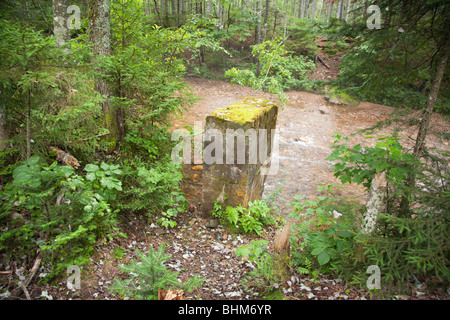 Pemitewasset Wilderness - Reste der Anderson Brook Gage in Stillwater Junction in Lincoln, New Hampshire USA. Stockfoto