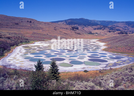 See in der Nähe von Osoyoos, South Okanagan Valley, BC, Britisch-Kolumbien, Kanada - historischen ersten Nationen Heilige Mineralwässer gesichtet Stockfoto