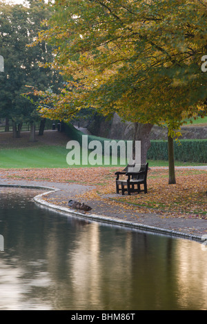 Eine Bank im Park an einem See in einem Park im Herbst Stockfoto