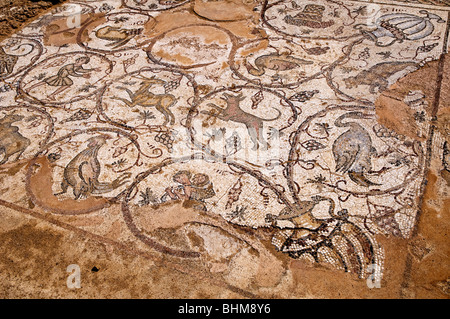 Figurative alten Boden Mosaik abbildenden Tiere und Vögel in Caesarea Nationalpark Israel Stockfoto