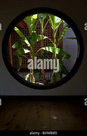 Ein rundes Fenster zeigt eine Anpflanzung von Bananenstauden am Kenninji Tempel, Kyoto, Japan Stockfoto