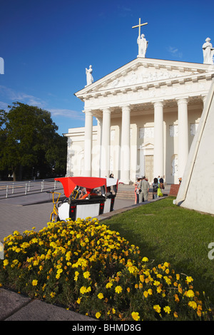 Vilnius Kathedrale, Vilnius, Litauen, Baltikum, Osteuropa Stockfoto