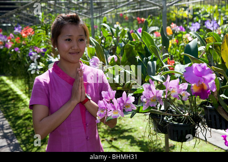 Gewächshaus Pflanzen & Blumen. Asiatische Frau in traditioneller Kleidung, üblichen wai Gruß Besucher der Wai in Bai Orchideenfarm, Chiang Mai, Thailand. Stockfoto
