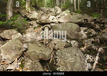 Pemigewasset Wilderness - getrocknete Flussbett in den White Mountains, New Hampshire, USA Stockfoto