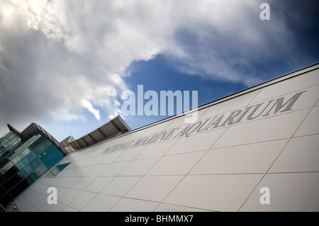 Das National Marine Aquarium in Plymouth Stockfoto