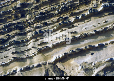 UK-Erosion und Fossilien entlang der Küste von Dorset in der Nähe von Bridport Stockfoto