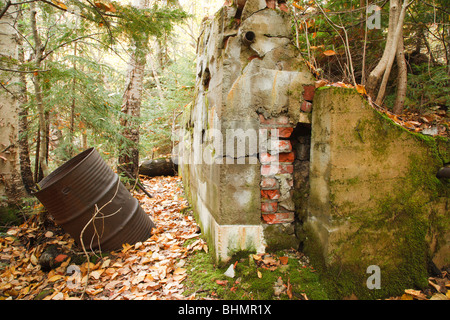 Nancy Brook Scenic Area Reste von "Lucy Mill' Nancy Teich Weg in den