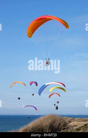 Gleitschirmflieger über Klippen am Cap Gris Nez, Côte d ' Opale, Frankreich Stockfoto