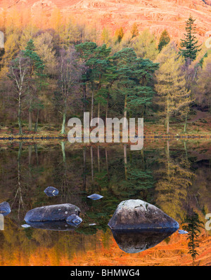 Berg und Baum Reflexionen in Blea Tarn, Nationalpark Lake District, Cumbria, England, UK. Herbst (November) 2009 Stockfoto