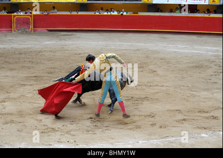 Matador kämpft einen Stier auf einem Stierkampf-Jahrmarkt in Medellin, Kolumbien. Stockfoto